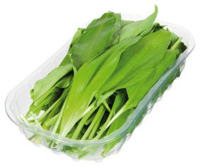 Česnek medvědí CZ čerstvý 50 g