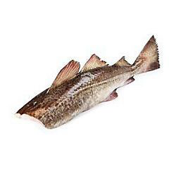 Treska tmavá bez hlavy chlaz. váž. cca 3 kg+