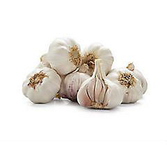 Česnek 250+ CZ čerstvý 1 ks