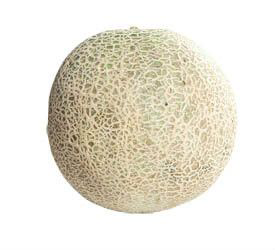 Meloun Cantaloupe čerstvý váž. cca 600 g