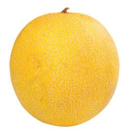 Meloun Galia čerstvý váž. cca 600 g