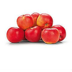 Jablka Idared 60+ čerstvá 13 kg karton