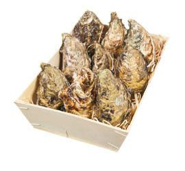 Ústřice velká Speciale Geay N°1 6 ks chlaz. váž. cca 0,875 kg