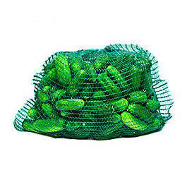 Okurky nakladačky 7/ 10 cm CZ čerstvé 10 kg