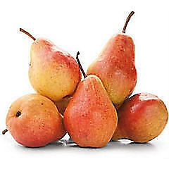Hrušky Red Barlett 65+ čerstvé 4 ks tácek