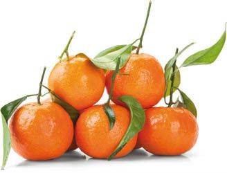 Mandarinky Bollo Clemenvil s lístky 3/4 čerstvé 700 g