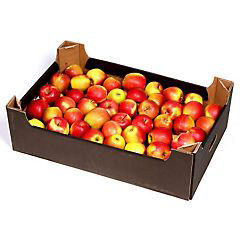 Jablka Gala Must 65/75 čerstvá 13 kg