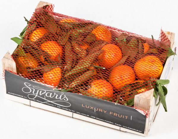 Mandarinky Nadorcott Bollo 1/2 čerstvé 2,3 kg