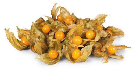 Mochyně/Physalis čerstvá 1,5 kg karton