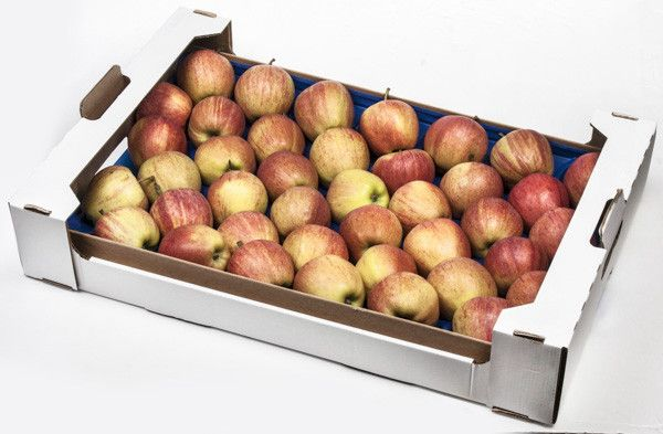 Jablka Gala 70+ I. čerstvá 6,5 kg