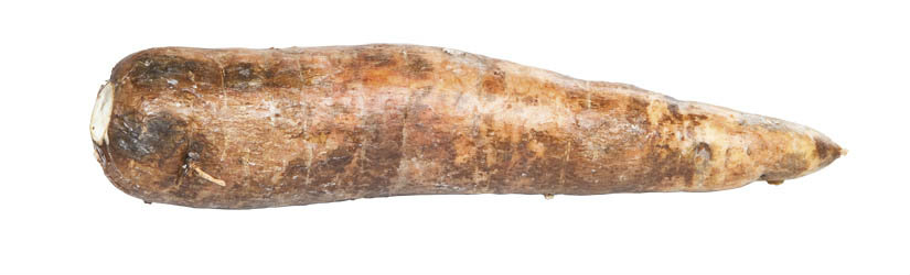 Cassave/Maniok CR čerstvý 2 ks