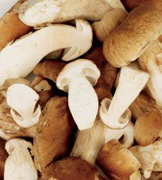 Hřib smrkový krájený chlaz. 1 kg