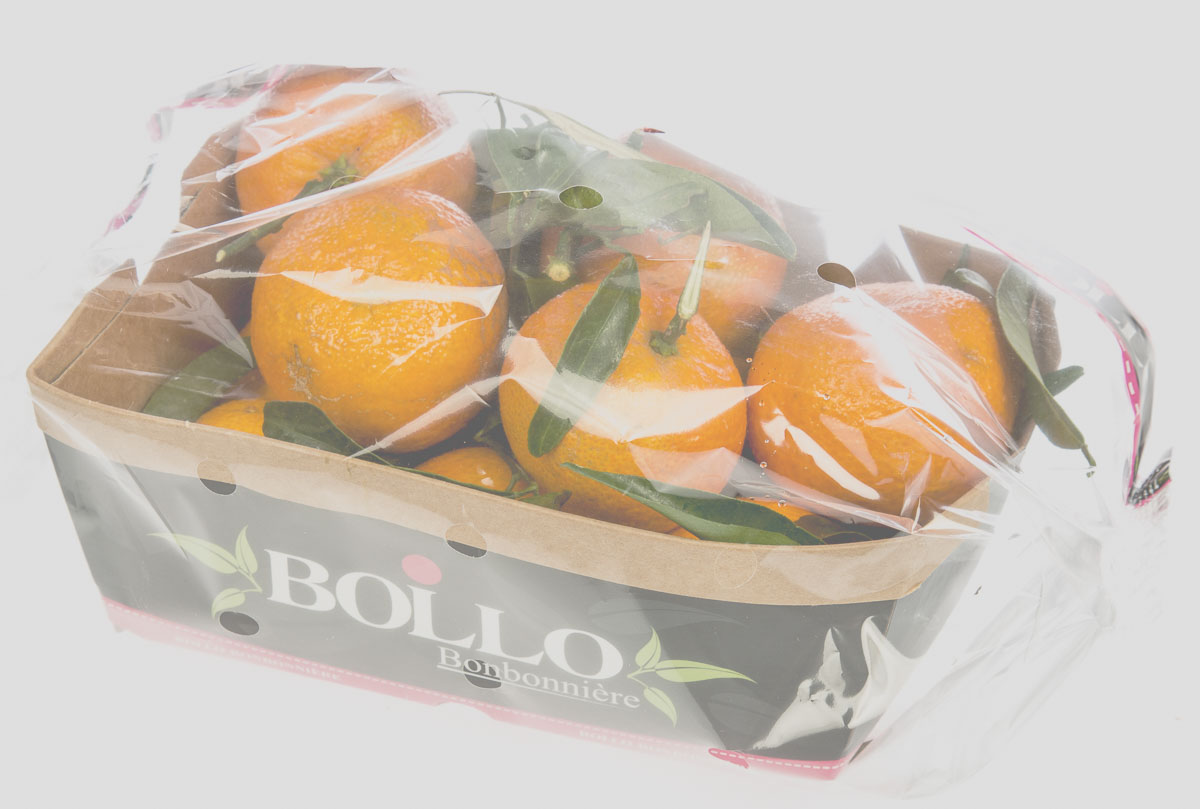 Mandarinky Clementine Bollo s lístky 3/4 čerstvé 700 g