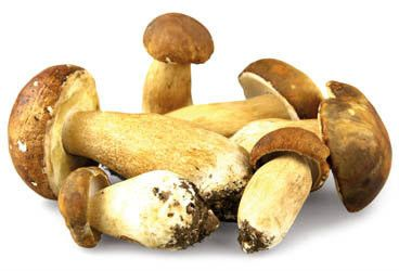 Hřib smrkový čerstvý 100 g