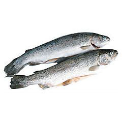 Pstruh potoční kuchaný chlaz. váž. cca 200 - 450 g