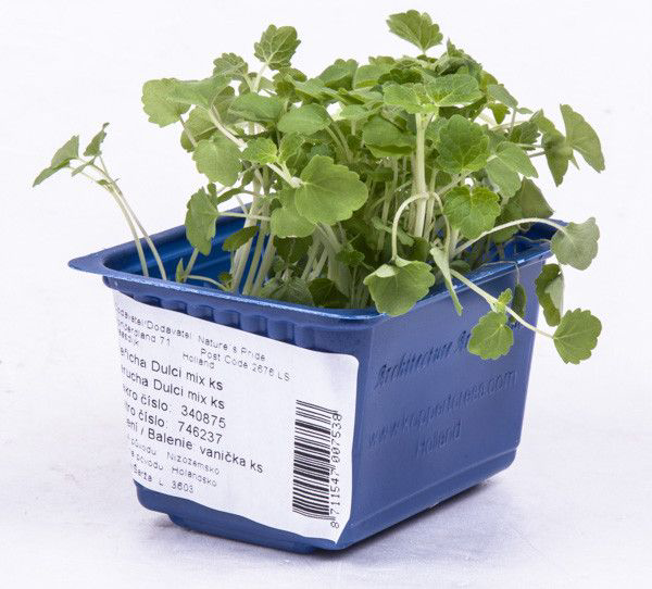 Řeřicha Dulci mix čerstvá 1 ks
