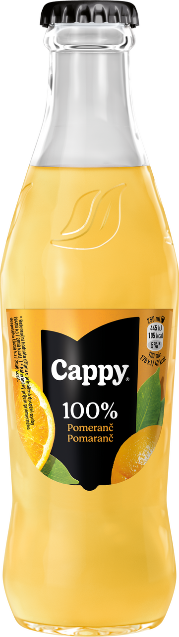 Cappy Pomeranč 100 % džus 24 x 250 ml vratná láhev