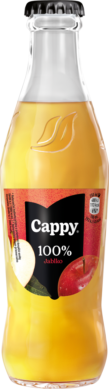 Cappy Jablko 100 % džus 24 x 250 ml vratná láhev