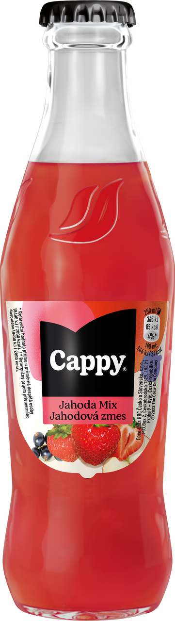 Cappy jahoda mix 24 x 250 ml vratná láhev
