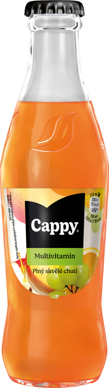 Cappy Multivitamín 52 % 24 x 250 ml vratná láhev