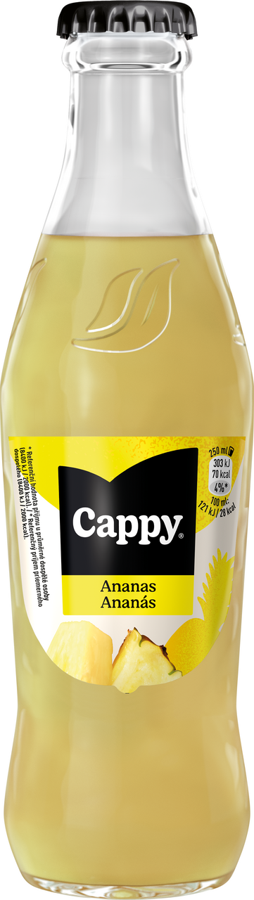 Cappy Ananas 51 % 24 x 250 ml vratná láhev