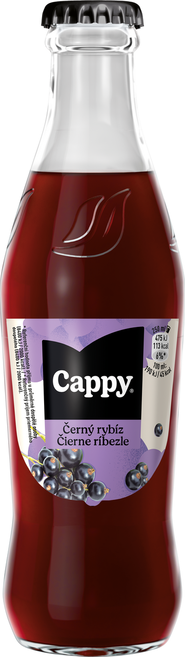 Cappy Blackcurrant 24 x 250 ml vratná láhev
