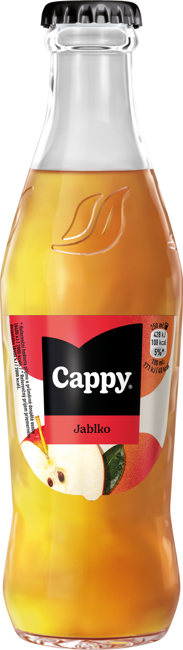 Cappy Jablko 20 % nápoj 24 x 250 ml vratná láhev
