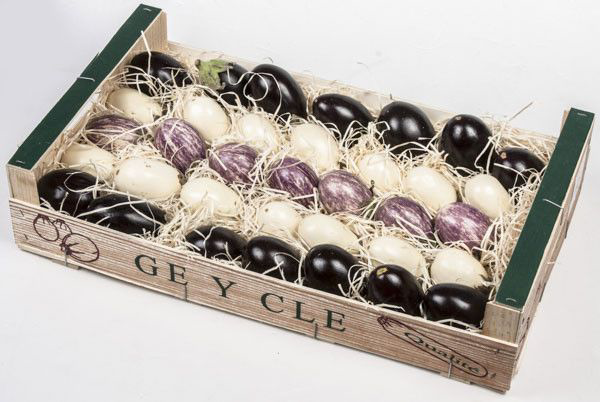 Lilek mini mix čerstvý 2,5 kg