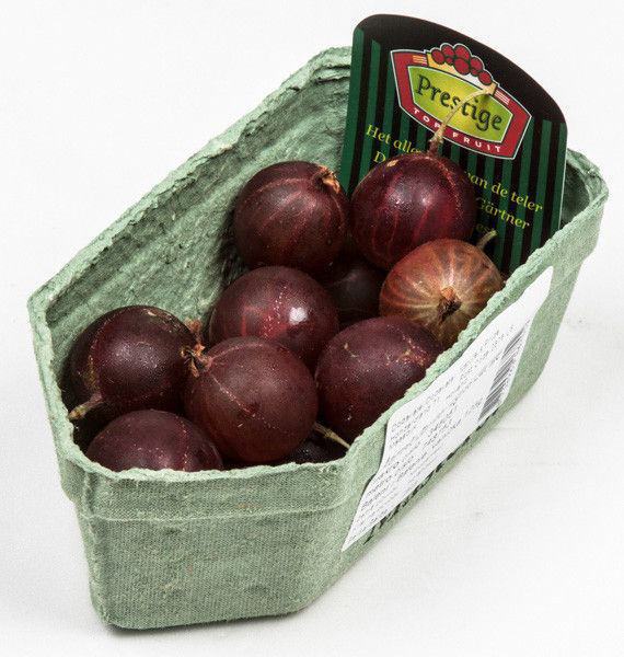 Angrešt Eat me čerstvý 125 g vanička