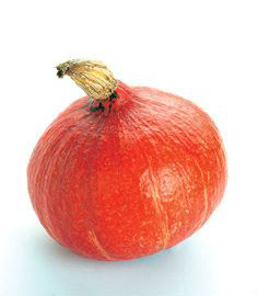 Dýně Hokkaido čerstvá váž. cca 1 kg