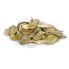 Limetové listy sušené 10 g