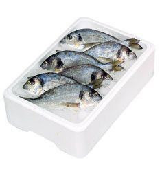 Pražma královská chorvatská bez šupin chlaz. váž. cca 250 - 350 g