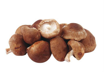 METRO Chef Houba Shiitake sušená 2-7 ks 100 g