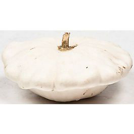 Patizon bílý čerstvý 5 kg karton