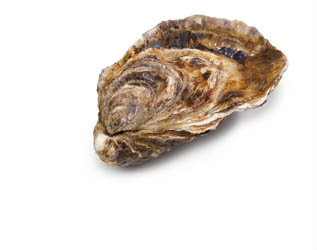 *ÚSTŘICE VEL.FDC GEAY N°3 72KS F5