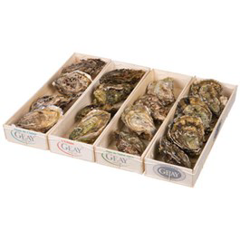 Ústřice velká Discovery Box chlaz. váž.  (N°1,2,3)