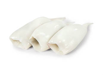 Kalmar argentinský tuby 5-9 ks chlaz. váž. cca 1 kg