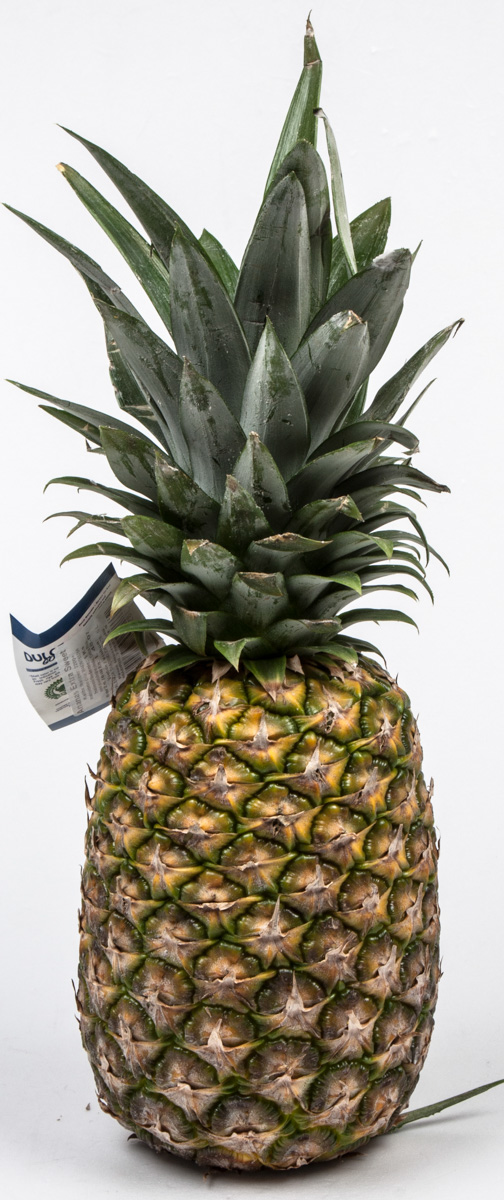 Ananas Ready to eat 2200 g+ čerstvý 5 ks