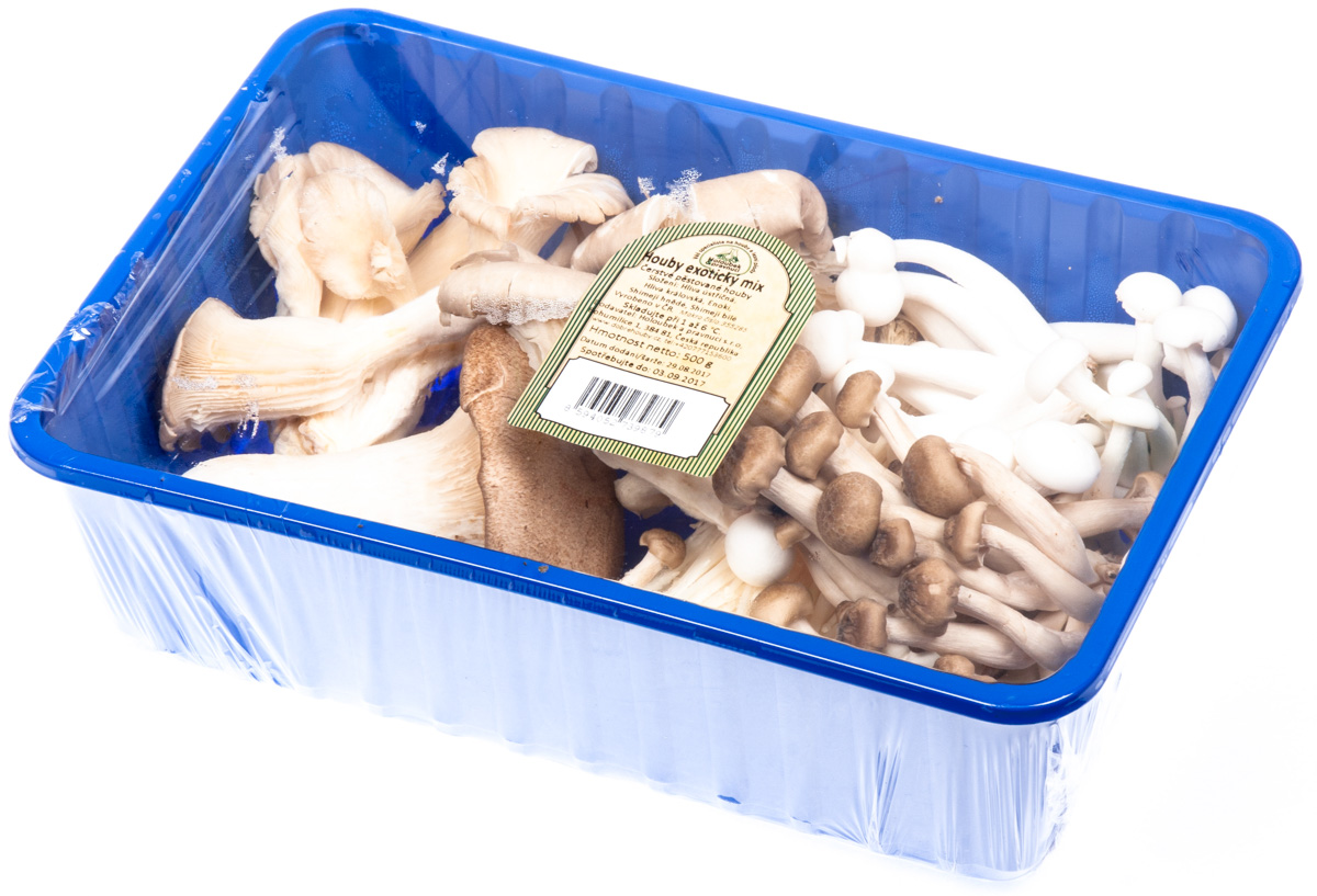 HOLOUBEK A PRAVNUCI Houby exotický mix čerstvé 500 g