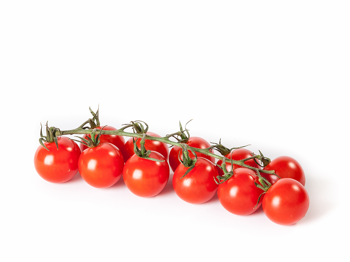 Rajčata keříková Tramezzino SK čerstvá váž. cca 4 kg