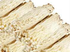 HOLOUBEK A PRAVNUCI Houby Enoki čerstvé 200 g tácek