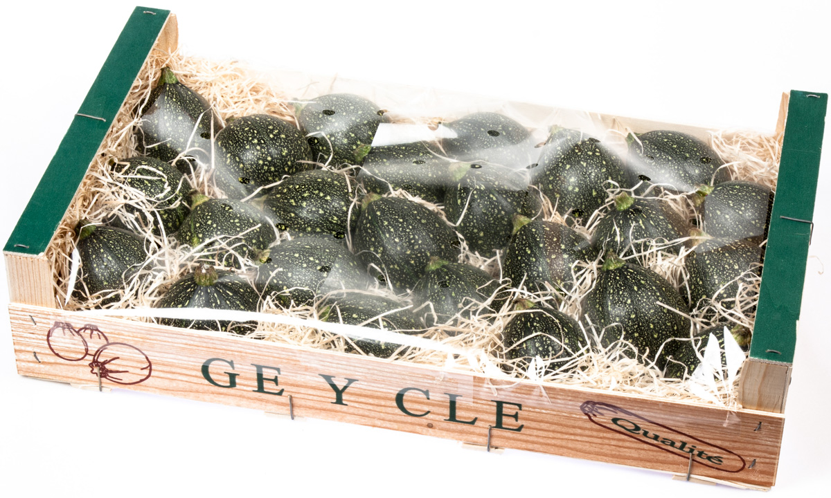 Cuketa zelaná kulatá čerstvá 4 kg