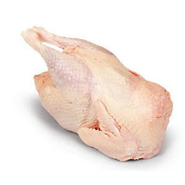 Slepice chlaz. váž. cca 1,1 kg