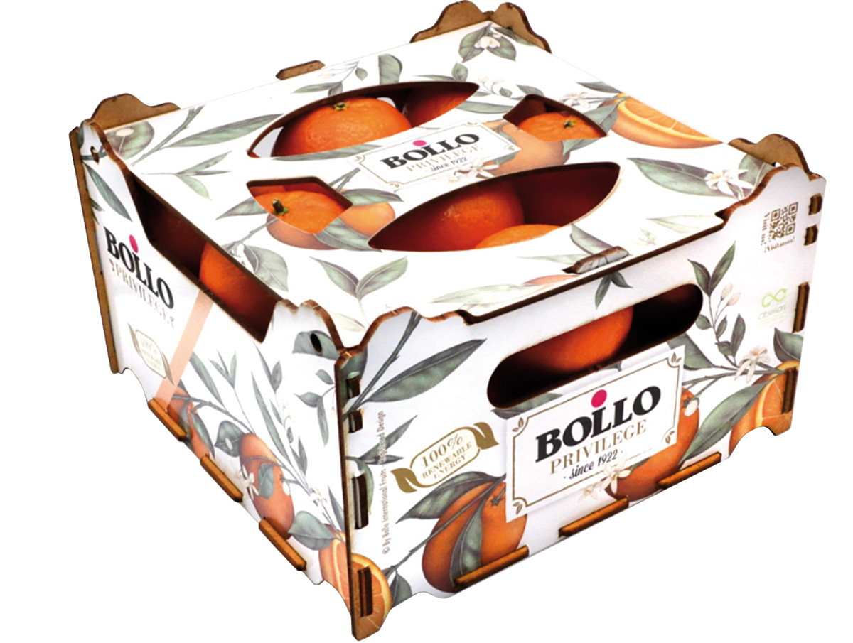 Mandarinky Clementine Bollo 3/4 čerstvé 1,5 kg dřevěná bedna