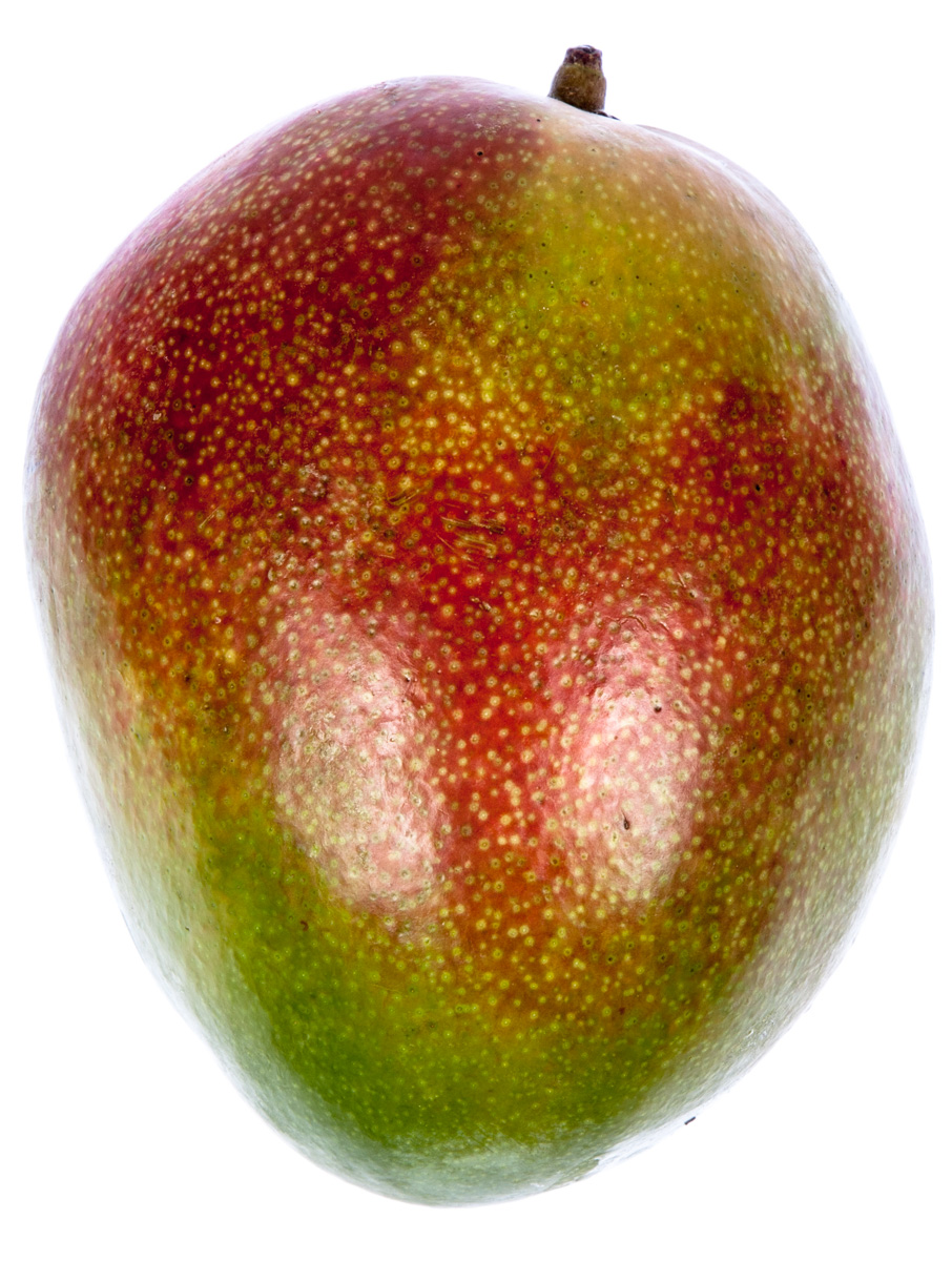 Mango Kent by Air 500 g+ CI čerstvé 1 ks