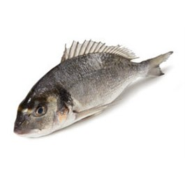 Pražma tmavá kuchaná chlaz. váž. cca 300 - 500 g