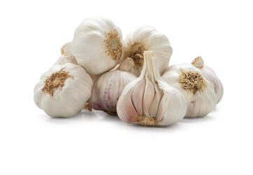 Česnek bílý 40+ CZ čerstvý 500 g vanička