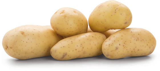 Brambory konzumní Cherrie 35/55 FR čerstvé 2,5 kg