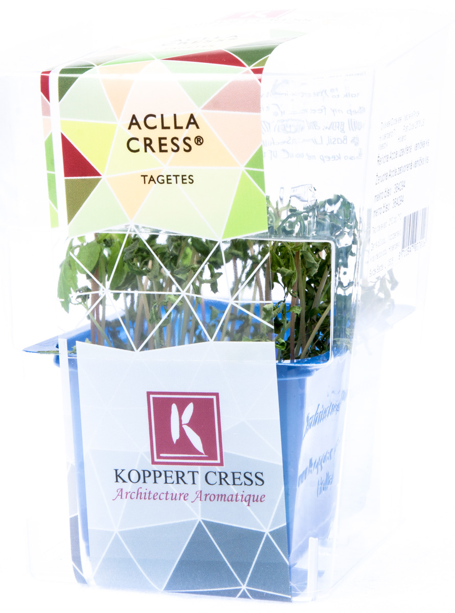 Řeřicha Accla čerstvá 1 ks uzavřená vanička