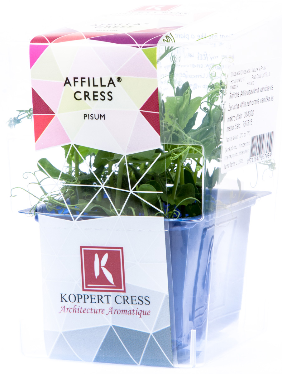 Řeřicha Afilla (uzavřená) čerstvá 1 ks 